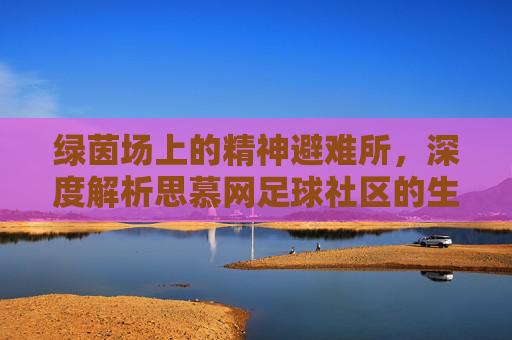 绿茵场上的精神避难所，深度解析思慕网足球社区的生态与魅力