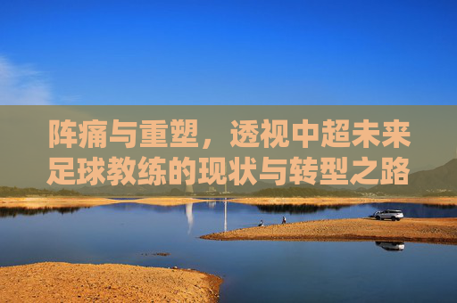 阵痛与重塑，透视中超未来足球教练的现状与转型之路