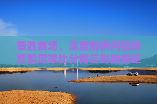 智胜赛场，深度解析阿根廷智能足球比分背后的数据逻辑