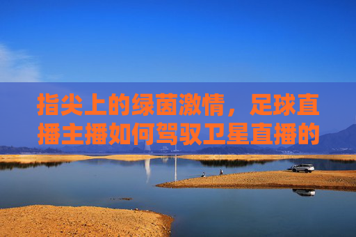 指尖上的绿茵激情，足球直播主播如何驾驭卫星直播的精彩瞬间