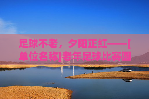 足球不老，夕阳正红——[单位名称]老年足球比赛圆满落幕