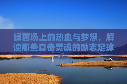 绿茵场上的热血与梦想，解读那些直击灵魂的励志足球运动视频