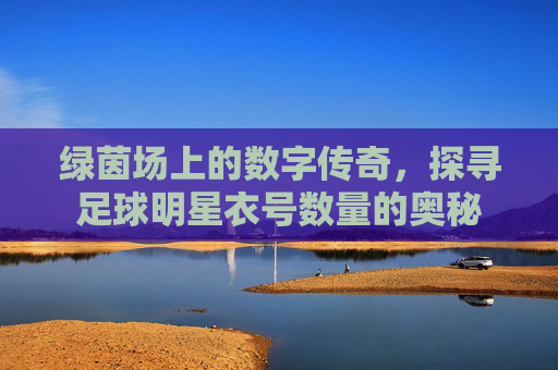 绿茵场上的数字传奇，探寻足球明星衣号数量的奥秘