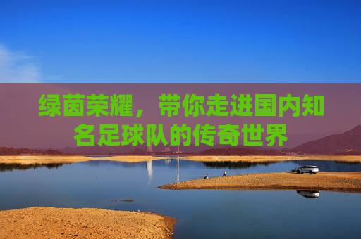 绿茵荣耀，带你走进国内知名足球队的传奇世界