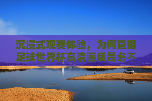 沉浸式观赛体验，为何直播足球世界杯高清画质是必不可少的？