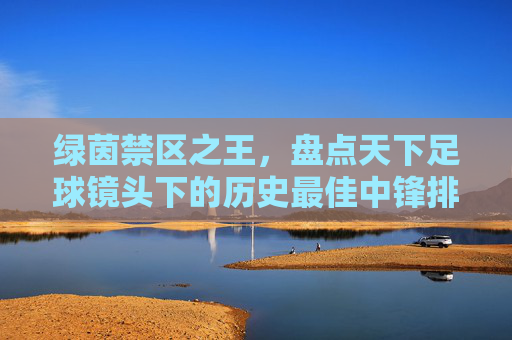 绿茵禁区之王，盘点天下足球镜头下的历史最佳中锋排名