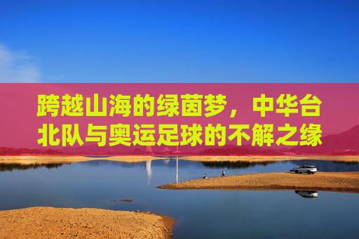 跨越山海的绿茵梦，中华台北队与奥运足球的不解之缘