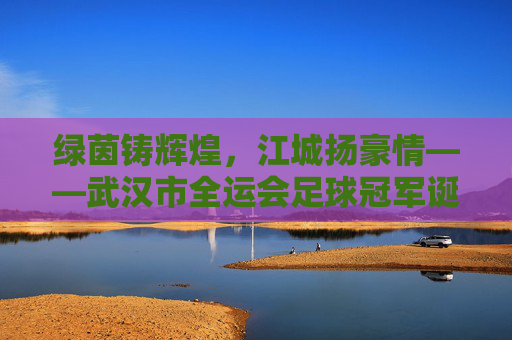 绿茵铸辉煌,江城扬豪情——武汉市全运会足球冠军诞生记