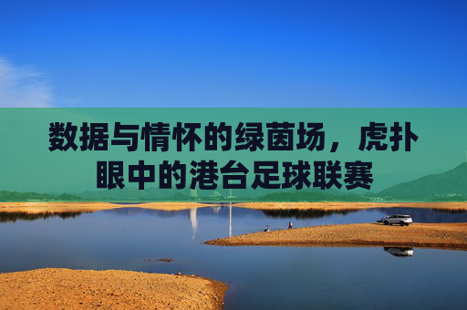 数据与情怀的绿茵场，虎扑眼中的港台足球联赛