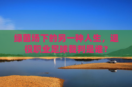 绿茵场下的另一种人生,退役职业足球裁判是谁?