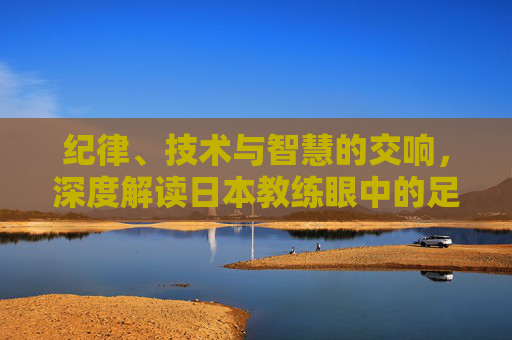 纪律、技术与智慧的交响,深度解读日本教练眼中的足球比赛