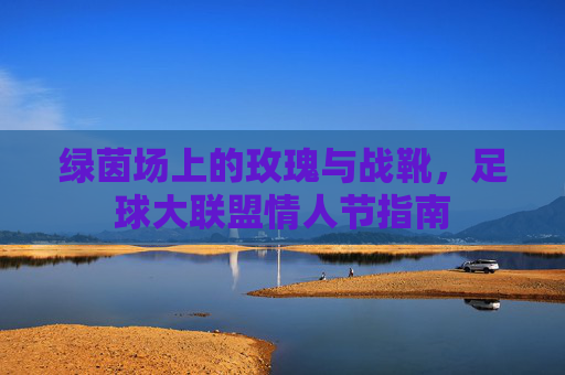 绿茵场上的玫瑰与战靴,足球大联盟情人节指南