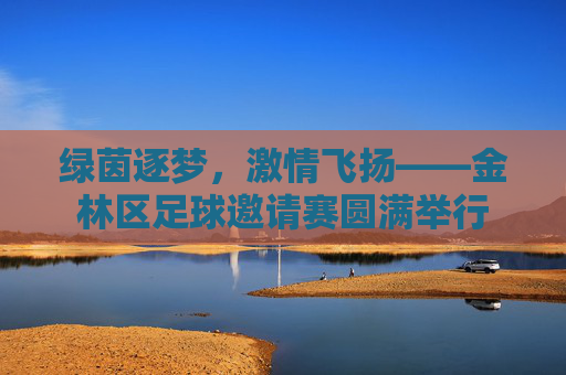 绿茵逐梦，激情飞扬——金林区足球邀请赛圆满举行