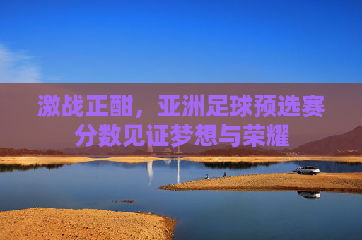 激战正酣，亚洲足球预选赛分数见证梦想与荣耀