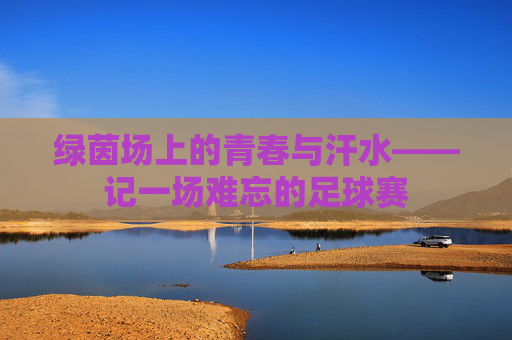 绿茵场上的青春与汗水——记一场难忘的足球赛