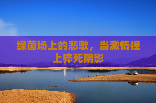 绿茵场上的悲歌,当激情撞上猝死阴影