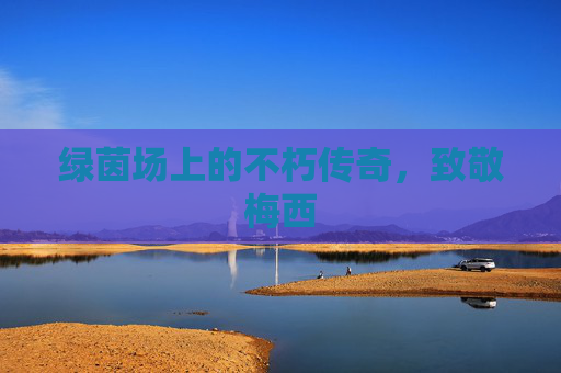 绿茵场上的不朽传奇,致敬梅西