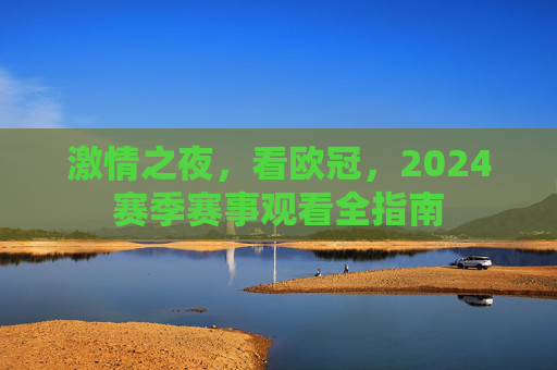 激情之夜,看欧冠,2024赛季赛事观看全指南