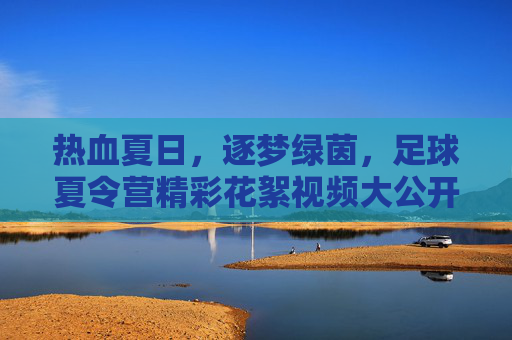 热血夏日,逐梦绿茵,足球夏令营精彩花絮视频大公开