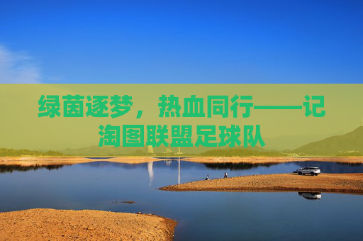 绿茵逐梦，热血同行——记淘图联盟足球队