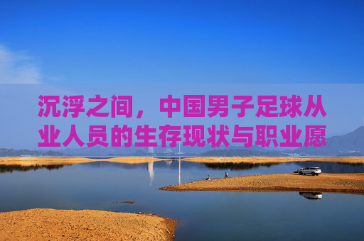 沉浮之间,中国男子足球从业人员的生存现状与职业愿景