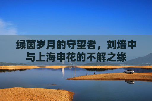 绿茵岁月的守望者,刘培中与上海申花的不解之缘