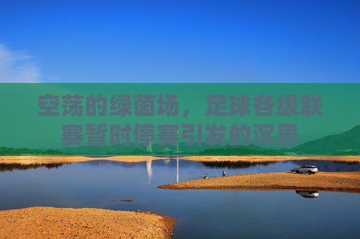 空荡的绿茵场,足球各级联赛暂时停赛引发的沉思