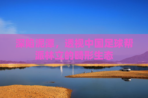 深陷泥潭,透视中国足球帮派林立的畸形生态