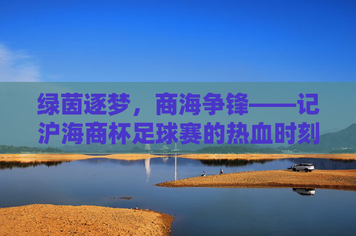 绿茵逐梦,商海争锋——记沪海商杯足球赛的热血时刻