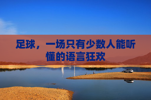 足球,一场只有少数人能听懂的语言狂欢