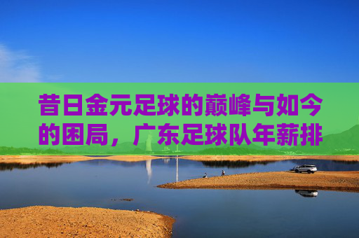 昔日金元足球的巅峰与如今的困局,广东足球队年薪排名深度解析