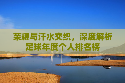 荣耀与汗水交织,深度解析足球年度个人排名榜