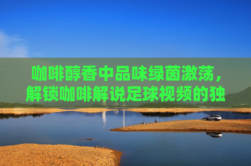咖啡醇香中品味绿茵激荡,解锁咖啡解说足球视频的独特魅力