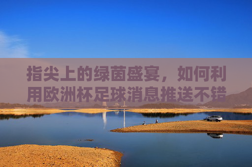 指尖上的绿茵盛宴,如何利用欧洲杯足球消息推送不错过每一粒进球