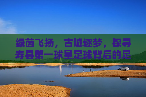 绿茵飞扬，古城逐梦，探寻寿县第一球星足球背后的足球传奇