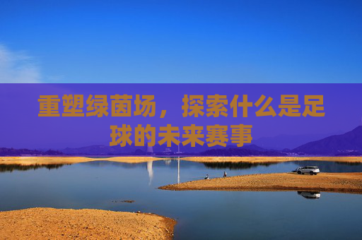 重塑绿茵场,探索什么是足球的未来赛事