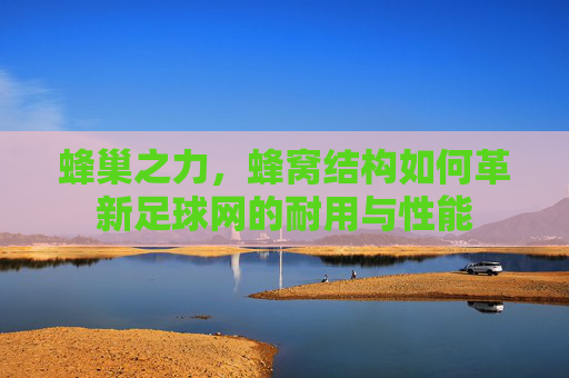 蜂巢之力,蜂窝结构如何革新足球网的耐用与性能