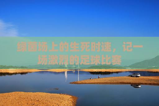绿茵场上的生死时速,记一场激烈的足球比赛