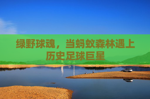 绿野球魂,当蚂蚁森林遇上历史足球巨星