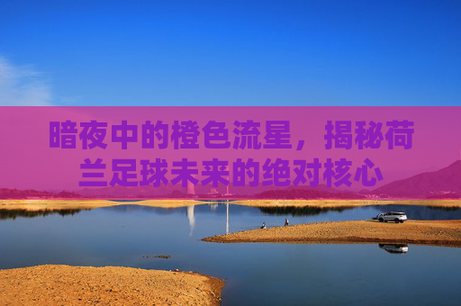 暗夜中的橙色流星,揭秘荷兰足球未来的绝对核心
