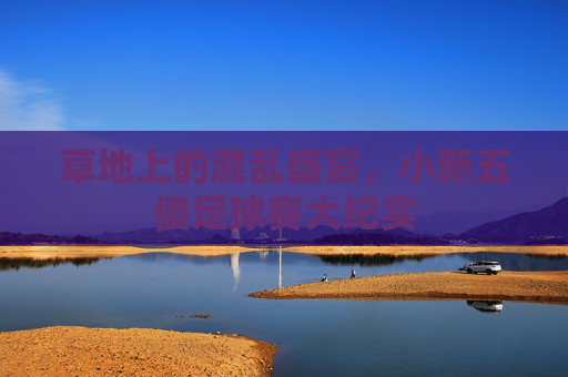 草地上的混乱盛宴,小新五傻足球赛大纪实