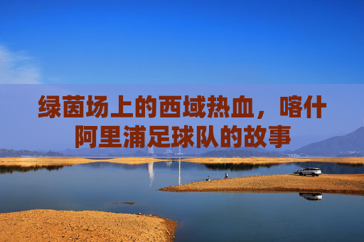绿茵场上的西域热血,喀什阿里浦足球队的故事