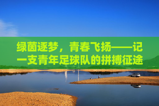 绿茵逐梦，青春飞扬——记一支青年足球队的拼搏征途