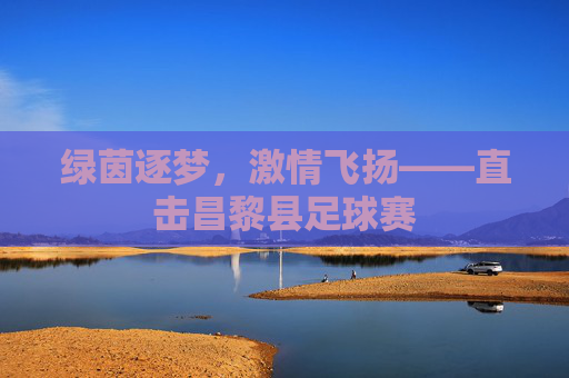 绿茵逐梦,激情飞扬——直击昌黎县足球赛