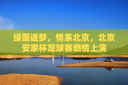 绿茵逐梦,情系北京,北京安家杯足球赛燃情上演