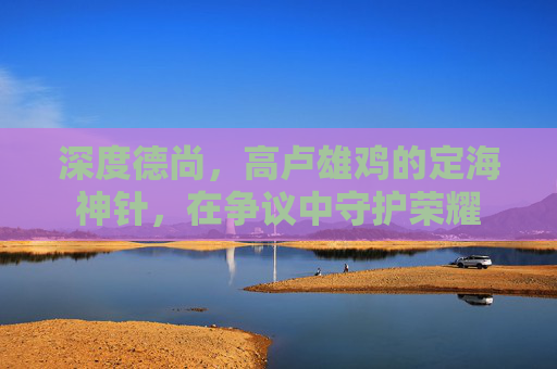 深度德尚,高卢雄鸡的定海神针,在争议中守护荣耀