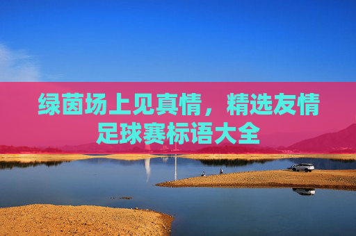 绿茵场上见真情,精选友情足球赛标语大全