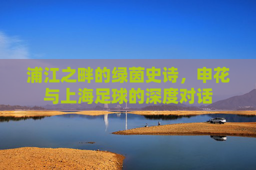 浦江之畔的绿茵史诗,申花与上海足球的深度对话