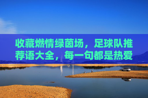 收藏燃情绿茵场,足球队推荐语大全,每一句都是热爱!