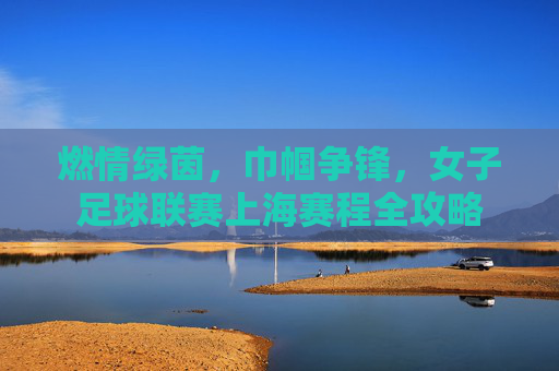 燃情绿茵，巾帼争锋，女子足球联赛上海赛程全攻略